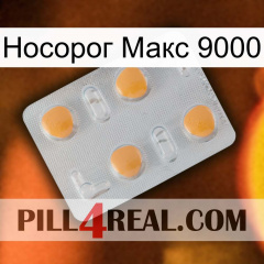 Носорог Макс 9000 24